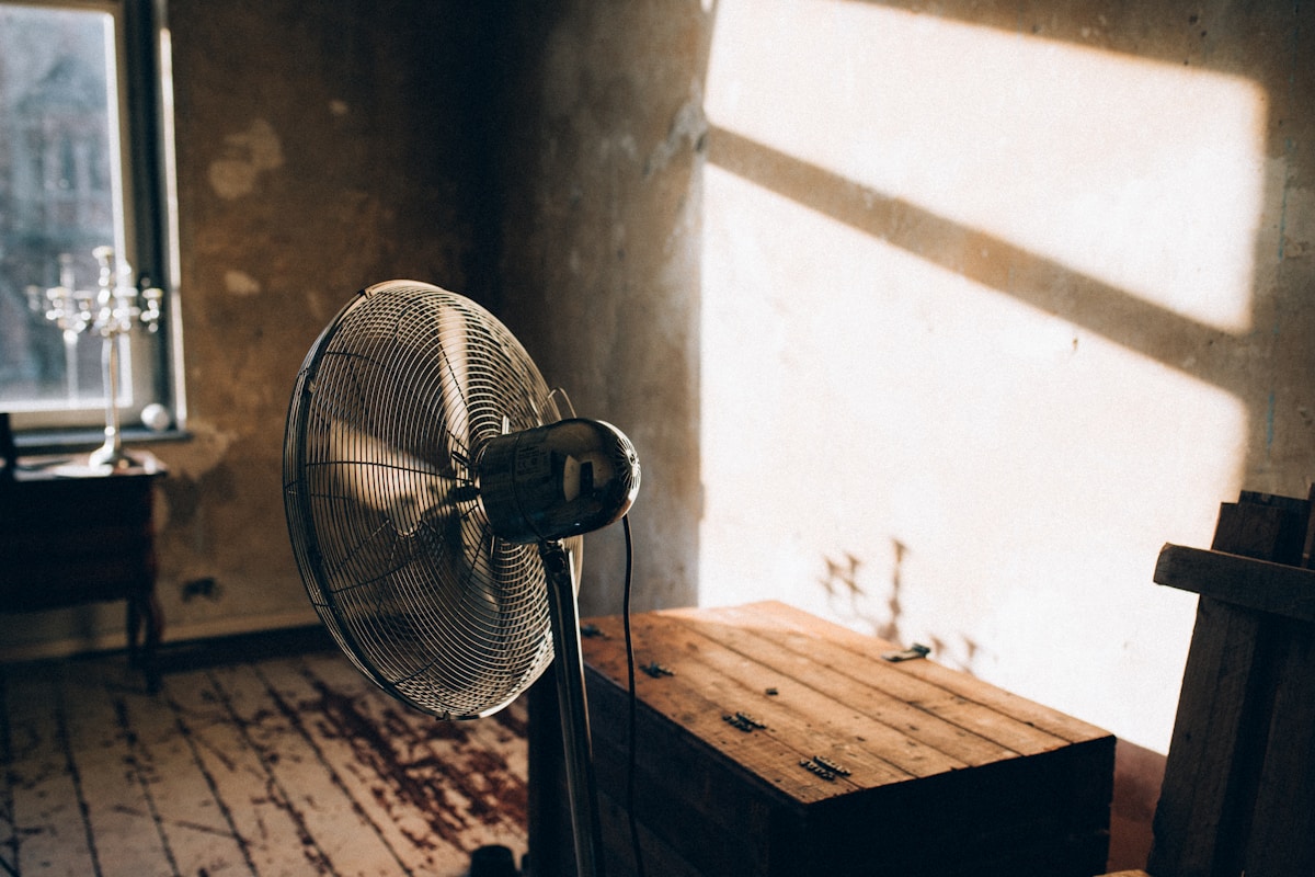 Mold Remediation service in Athens, GA