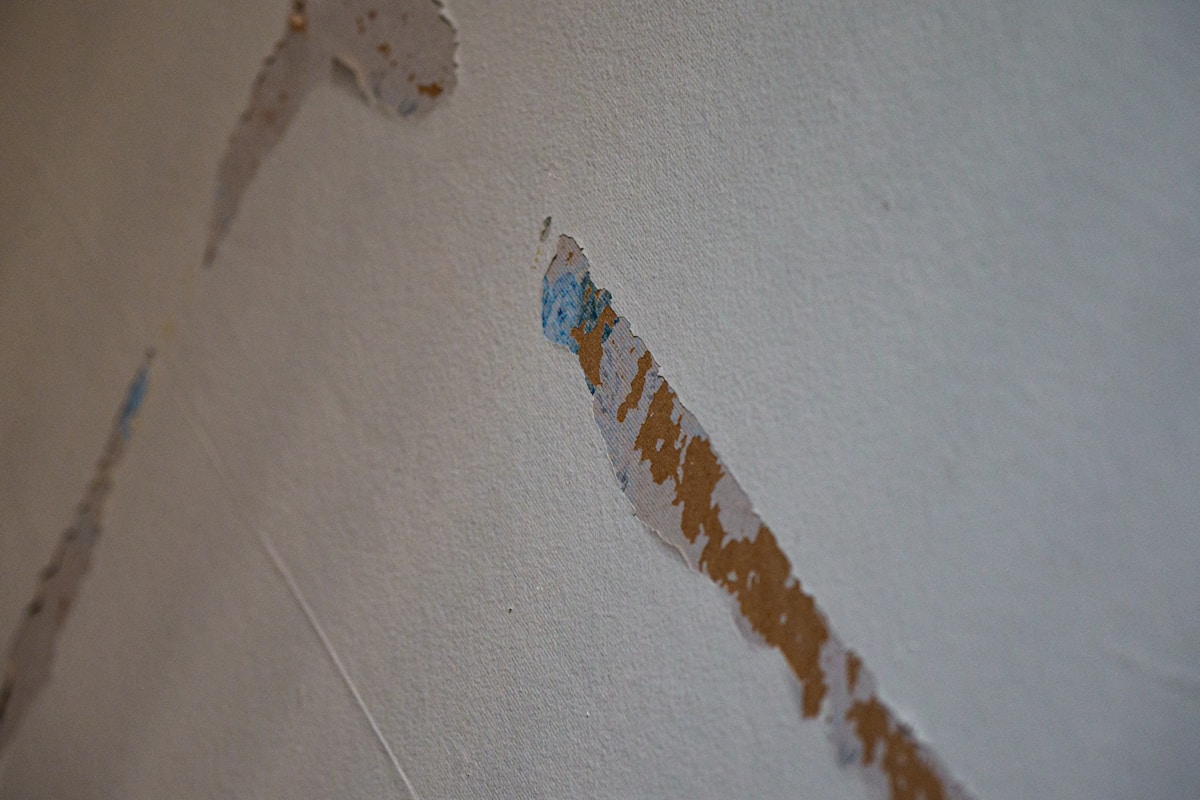 Commercial Water Damage service in Athens, GA